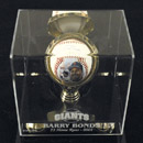 See a Picture of this Item