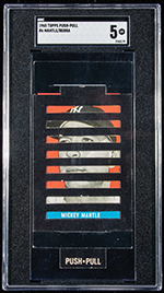 See a Picture of this Item
