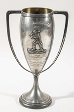 See a Picture of this Item