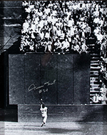 See a Picture of this Item