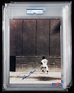 See a Picture of this Item