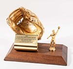 See a Picture of this Item