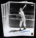 See a Picture of this Item