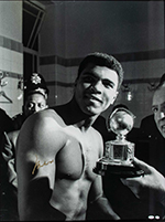 See a Picture of this Item