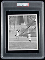 See a Picture of this Item