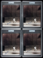 See a Picture of this Item