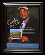 See a Picture of this Item