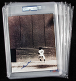 See a Picture of this Item