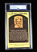 See a Picture of this Item