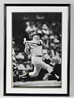 See a Picture of this Item