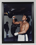 See a Picture of this Item