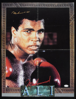 See a Picture of this Item