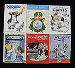 See a Picture of this Item