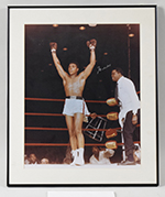 See a Picture of this Item