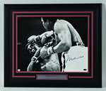 See a Picture of this Item