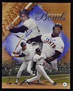 See a Picture of this Item