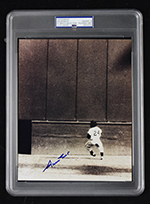 See a Picture of this Item