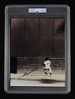 See a Picture of this Item